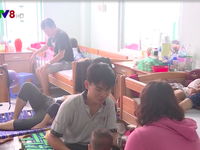 Bùng phát dịch sốt xuất huyết ở Khánh Hòa