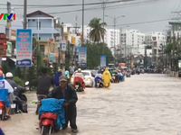 Giao thông tại Khánh Hòa gián đoạn do mưa lớn