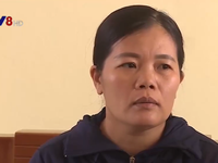 Quảng Bình khởi tố vụ cô giáo cho cả lớp tát học sinh 231 cái