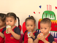 Hà Nội: Triển khai Chương trình Sữa học đường từ năm 2019