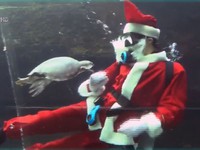 Ông già Noel bơi cùng cá