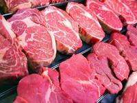 Mỹ thu hồi thịt bò nhiễm khuẩn Salmonella