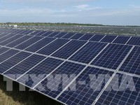 Dự án điện mặt trời đầu tiên ở Khánh Hòa sẽ đóng điện vào tháng 4/2019