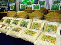 Nhiều việc cần làm để thương hiệu gạo Việt được thế giới công nhận