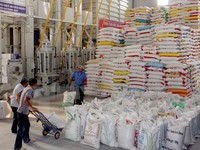 Năm 2018, dự kiến Việt Nam xuất khẩu 6,15 triệu tấn gạo, đạt kim ngạch 3,15 tỷ USD