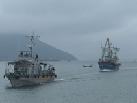 Hà Tĩnh cứu hộ thành công 11 ngư dân gặp nạn trên biển