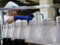 Nga cấm nhập khẩu sữa từ Belarus