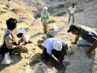 Iraq phát hiện hàng chục hiện vật cổ sau trận mưa lớn
