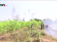 Đắk Lắk tăng cường phòng chống cháy rừng