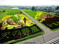 Ngỡ ngàng với những bức vẽ khổng lồ trên đồng lúa tại Nhật Bản