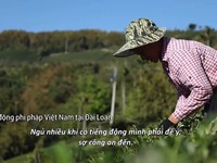 VTV Đặc biệt - Miền đất hứa: Khán giả đẫm nước mắt trước phận làm chui của lao động bất hợp pháp Việt ở xứ Đài