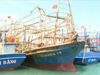 Bình Định: Xây dựng quy trình giám sát tàu cá đánh bắt hợp pháp