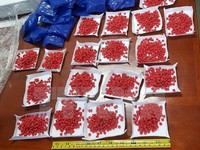 Sơn La: Bắt đối tượng vận chuyển 3.600 viên ma túy tổng hợp