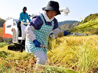 Nhật Bản đề nghị Hong Kong (Trung Quốc) dỡ bỏ lệnh cấm nhập khẩu nông phẩm từ khu vực Fukushima