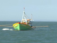 Ngư dân Bình Thuận bức xúc trước nạn 'giã cào bay'