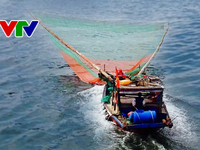 Bình Thuận kiên quyết loại bỏ tàu cá hành nghề giã cào dưới mọi hình thức
