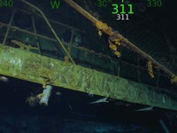 Phát hiện xác tàu sân bay Mỹ chìm trong Thế chiến II