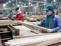 Nhiều cơ hội cho ngành gỗ Việt Nam từ nhu cầu thị trường thế giới