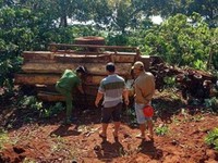 Lật xe công nông chở gỗ, 1 người chết, 2 người bị thương
