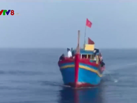 Quảng Trị bắt tàu đánh cá bằng xung điện