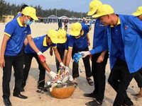 Hơn 4.000 tình nguyện thực hiện thu gom rác tại 5 tỉnh thành