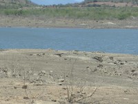 Cấp bách thi công hệ thống thủy lợi Tân Mỹ đưa nước về vùng hạn Ninh Thuận