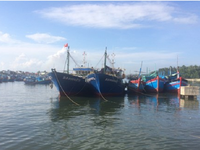 Ngư dân Bình Định thống nhất phương án đền bù tàu cá theo Nghị định 67
