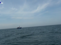 Phát hiện tàu giã cào khai thác hải sản trái phép trên vùng biển Quảng Trị