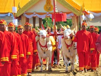Lễ hội cày ruộng Hoàng gia ở Thái Lan