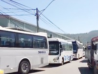 Khánh Hòa: Lộn xộn giao thông từ 'tour 0 đồng'