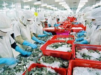 Giá trị xuất khẩu thủy sản ước đạt 3,94 tỷ USD