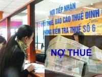 Bình Định công khai 141 doanh nghiệp nợ thuế trên 100 triệu đồng