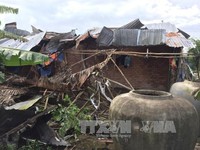 Bạc Liêu: Một tuần, hàng chục căn nhà bị sập và tốc mái vì lốc xoáy