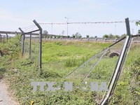 Nguy hiểm tình trạng phá hàng rào cao tốc TP.HCM - Trung Lương