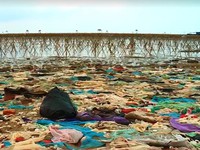 Ô nhiễm biển do rác thải ở Thanh Hóa: Lỗi tại ai?
