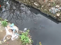 Bạc Liêu: Dân khổ vì nước thải của bệnh viện gây ô nhiễm môi trường