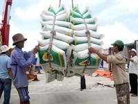 Giá xuất khẩu gạo cao nhất trong 4 năm