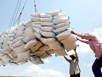 Giá gạo Việt Nam xuất khẩu cao hơn Thái Lan, Ấn Độ