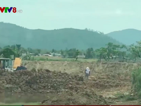 Hà Tĩnh: 'Nóng' tình trạng trộm đất bán cho lò gạch