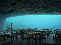 Độc đáo nhà hàng dưới biển đầu tiên tại châu Âu