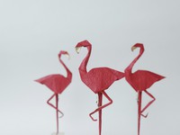 Giới thiệu vẻ đẹp nghệ thuật Origami qua triển lãm “Những đôi cánh”