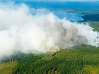 Cháy rừng lan rộng tại Thụy Điển do nắng nóng