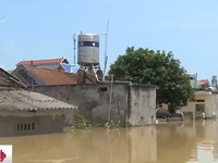 Hà Nội: Hơn 100 hộ dân bị cô lập do mưa lũ