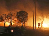 Hy Lạp để tang các nạn nhân cháy rừng