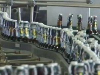 Ngành sản xuất bia tại Đức hưởng lợi nhờ thời tiết nắng nóng