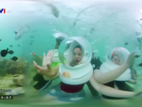 Đi dạo dưới lòng đại dương ngắm san hô tuyệt đẹp tại Nha Trang