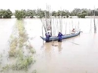 Lũ ở ĐBSCL tăng mạnh do vỡ đập thủy điện ở Lào và triều cường