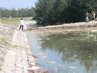 Hà Tĩnh: Phạt 435 triệu đồng doanh nghiệp nuôi tôm xả thải ra môi trường