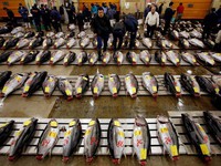 Chợ cá lớn nhất thế giới chuẩn bị di dời
