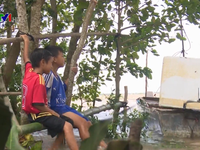 Trẻ em vùng lũ Đồng Tháp đối mặt nguy cơ đuối nước